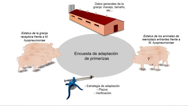 Figura 1. Informaci&oacute;n relacionada con la adaptaci&oacute;n de primerizas recopilada en&nbsp;la encuesta.
